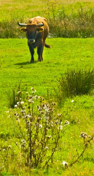 2011_08_17_999_24 Kopie.jpg